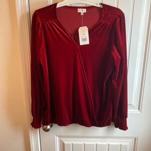 Womens velour top